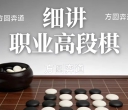 《细讲职业高段棋（柯