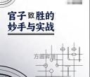 《围棋收官秘籍-官子致胜妙手与实战（李万鹏二段讲解）》（围棋视频10集）