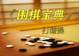 围棋宝典打...