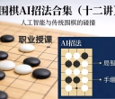《围棋AI招法合集（刘华丰初段讲解）》（视频12集）