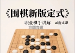 《围棋新版定式（职业