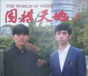 《围棋天地（2024第22