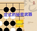 《定式的秘密武器（彭立尧八段讲解）》（围棋视频11集）