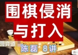 《侵消与打入（陈磊三段讲解）》（围棋视频8集）