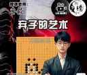 《围棋弃子艺术（鲁毅