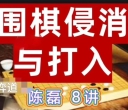 《侵消与打入（陈磊三段讲解）》（围棋视频8集）